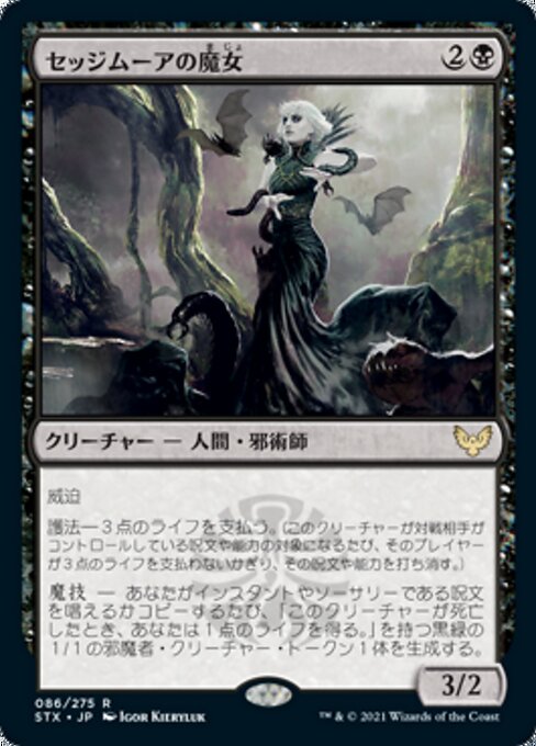 Sedgemoor Witch
